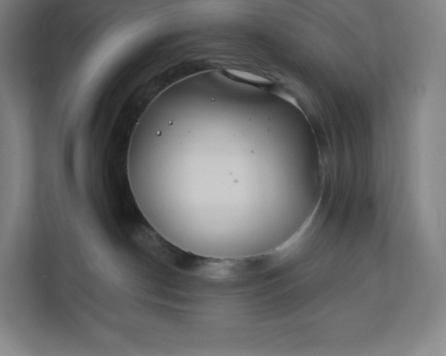 X0000112200190200908211548