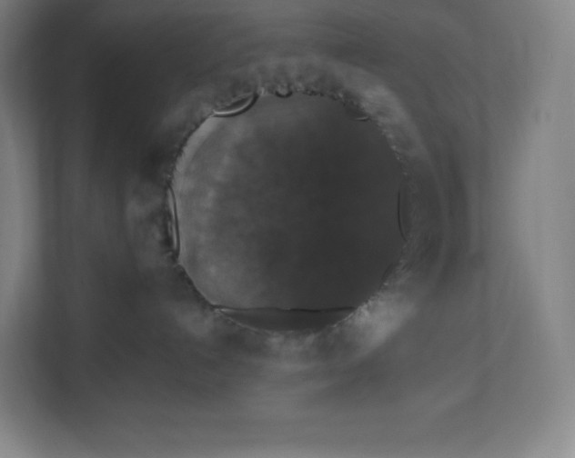 X0000112200192200908211548