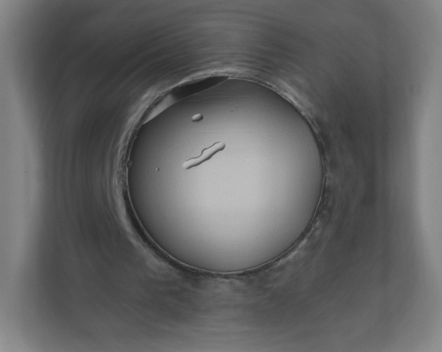 X0000112200193200908211547