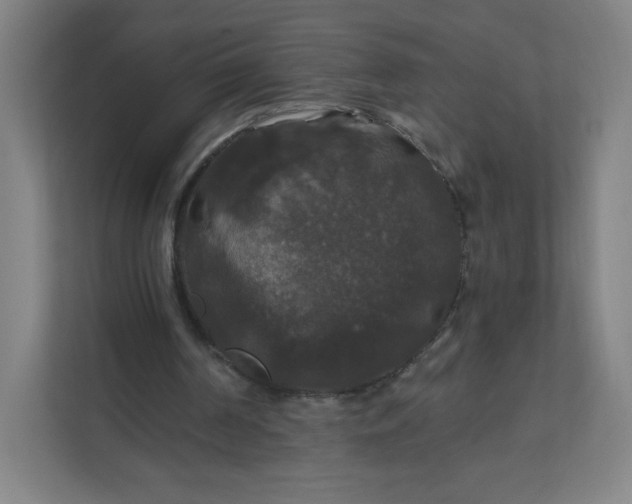 X0000112200194200908211547