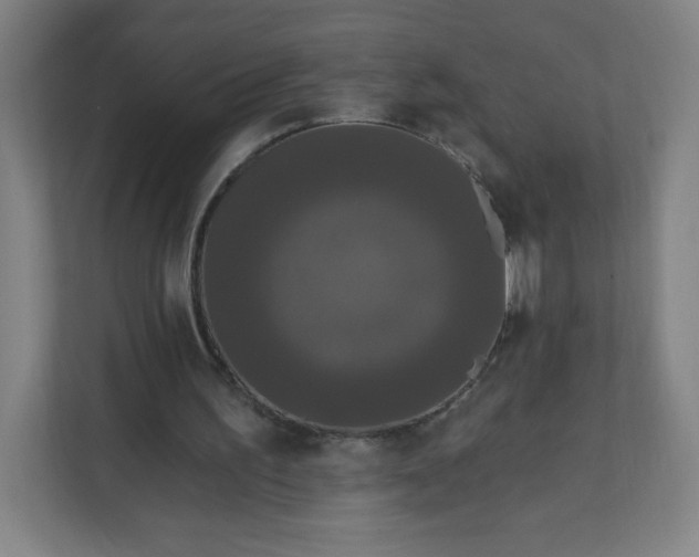 X0000112200195200908211547