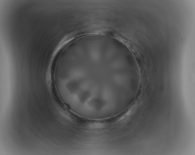 X0000112200198200908211547