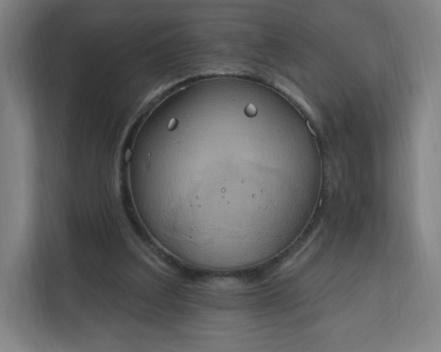 X0000112200203200908211547