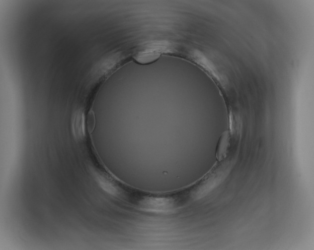 X0000112200205200908211547