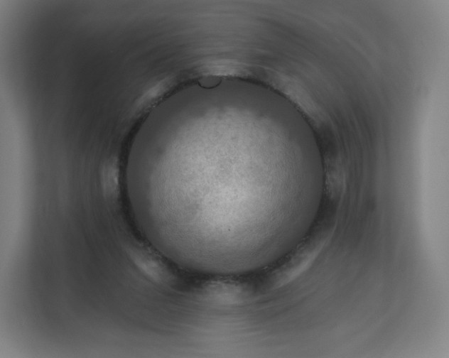 X0000112200207200908211547