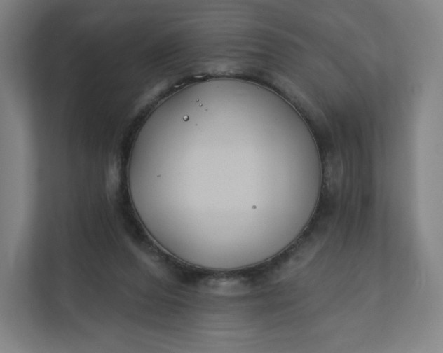 X0000112200208200908211547