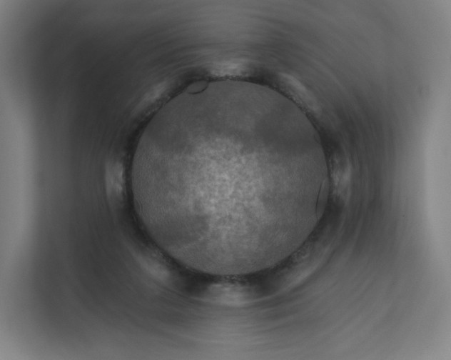 X0000112200211200908211547