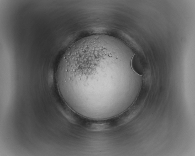 X0000112200213200908211547