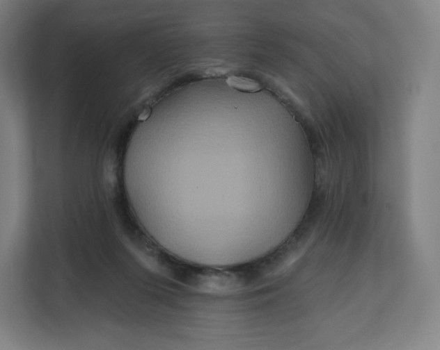 X0000112200215200908211547