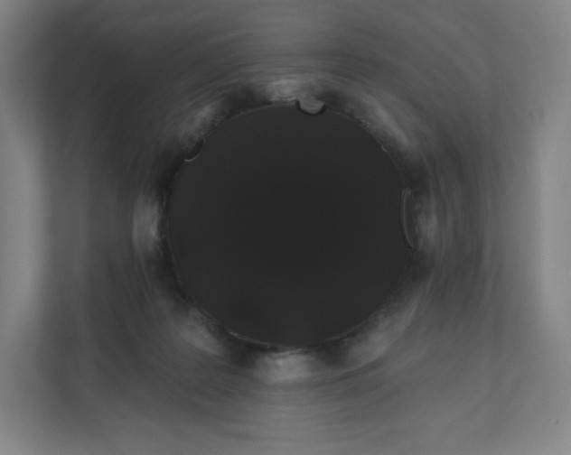 X0000112200219200908211547