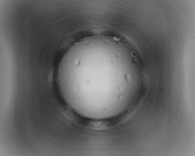 X0000112200221200908211547