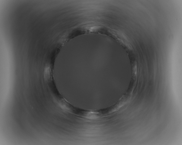 X0000112200222200908211547