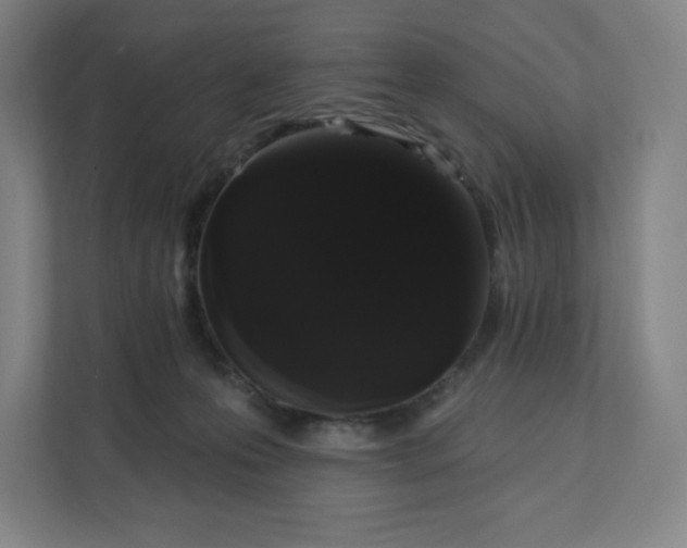 X0000112200223200908211547