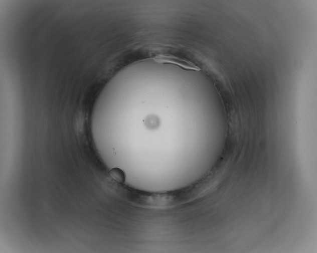 X0000112200225200908211547