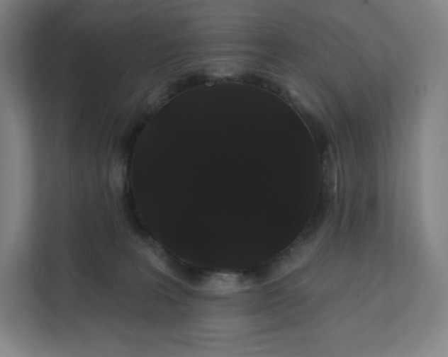 X0000112200227200908211547