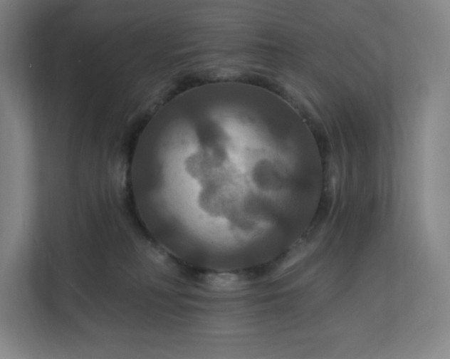 X0000112200230200908211547