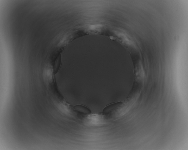 X0000112200231200908211547