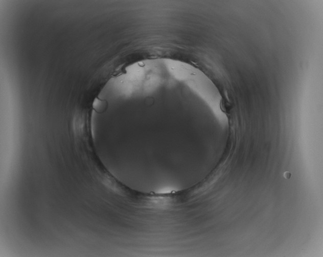 X0000112200233200908211547