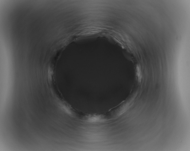 X0000112200235200908211547