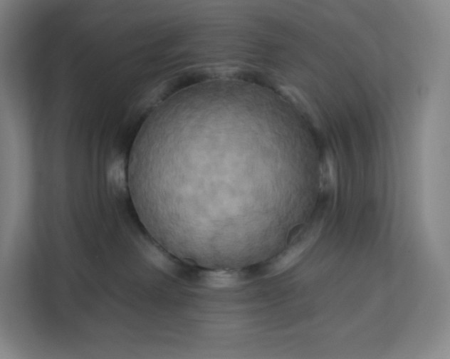 X0000112200238200908211547