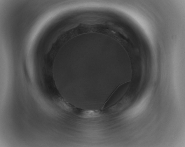 X0000112200239200908211547