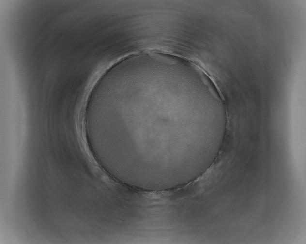 X0000112200241200908211546