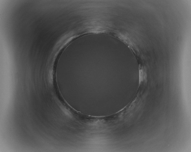 X0000112200243200908211546