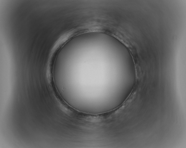 X0000112200245200908211546