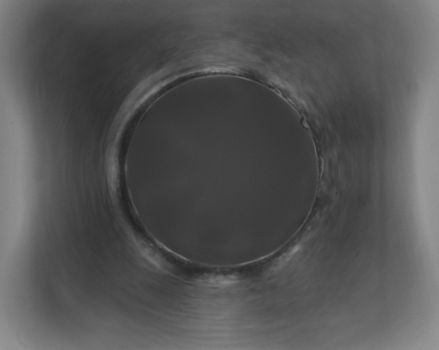 X0000112200247200908211546