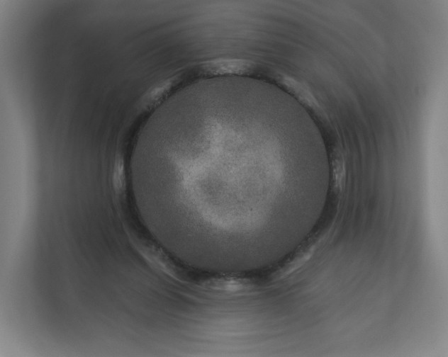 X0000112200254200908211546