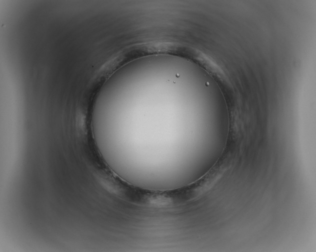 X0000112200258200908211546