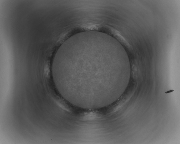 X0000112200259200908211546