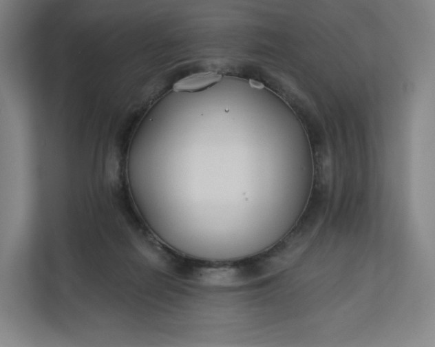 X0000112200266200908211546