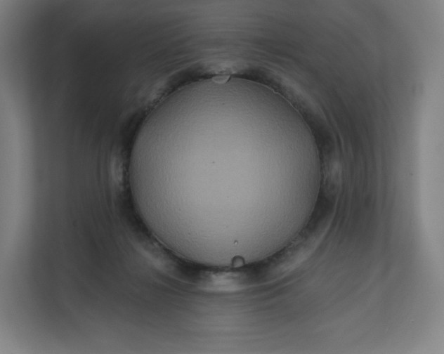 X0000112200268200908211546