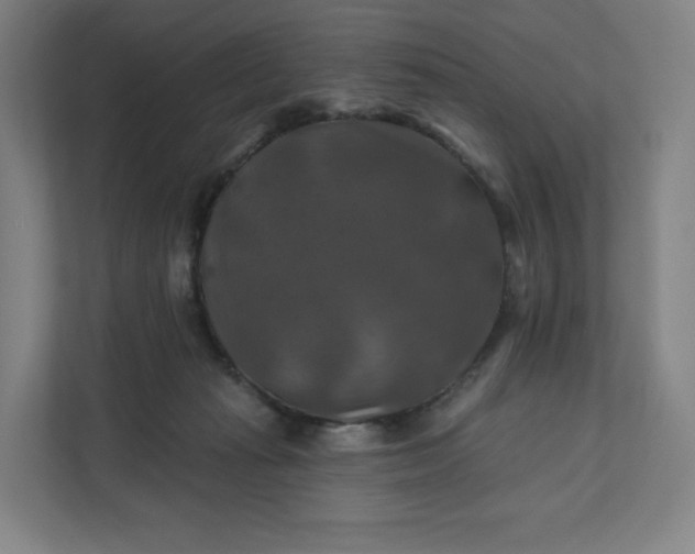 X0000112200269200908211546