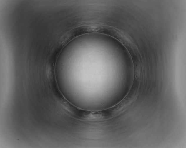 X0000112200270200908211546