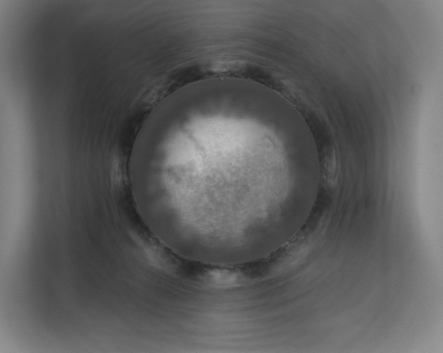 X0000112200272200908211546