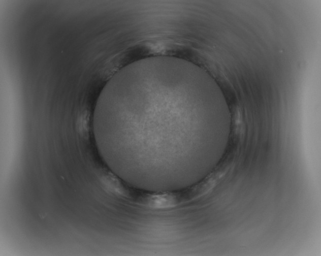 X0000112200275200908211546