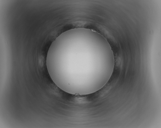 X0000112200283200908211547