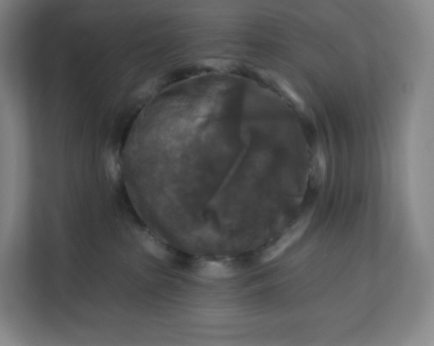 X0000112200285200908211547