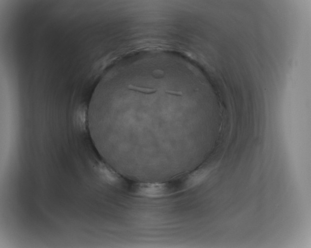 X0000112200288200908211547