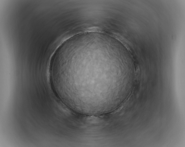 X0000112200290200908211546