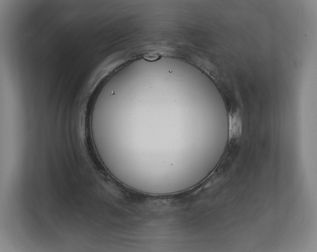 X0000112200291200908211546