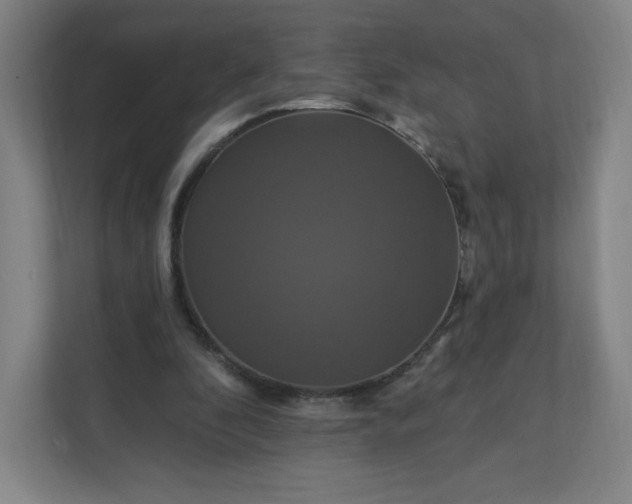 X0000112200296200908211546