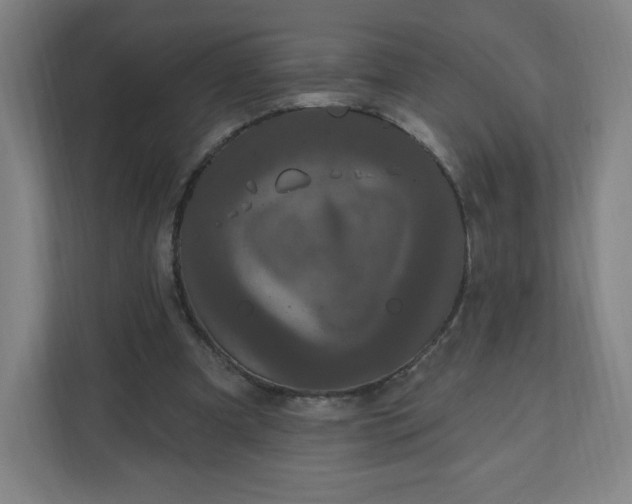 X0000112200297200908211546