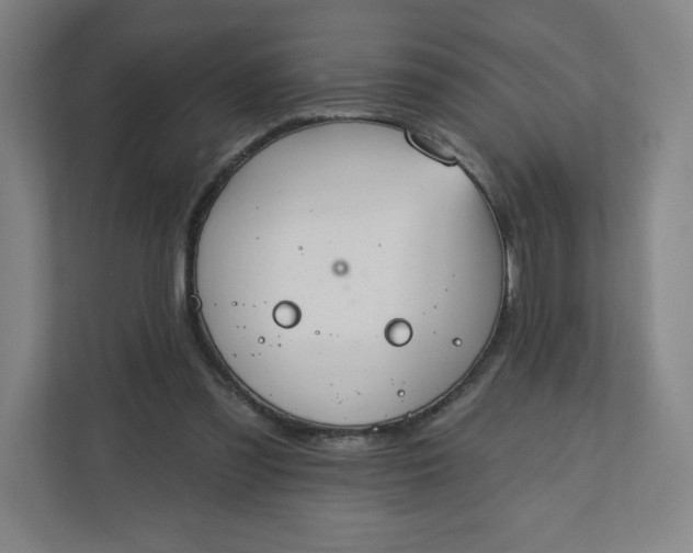 X0000112200301200908211546