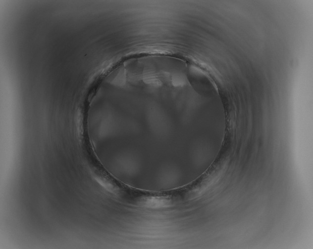 X0000112200303200908211546