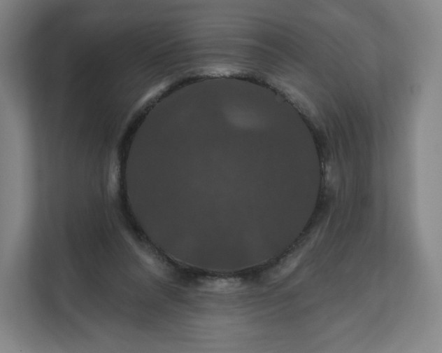 X0000112200304200908211546