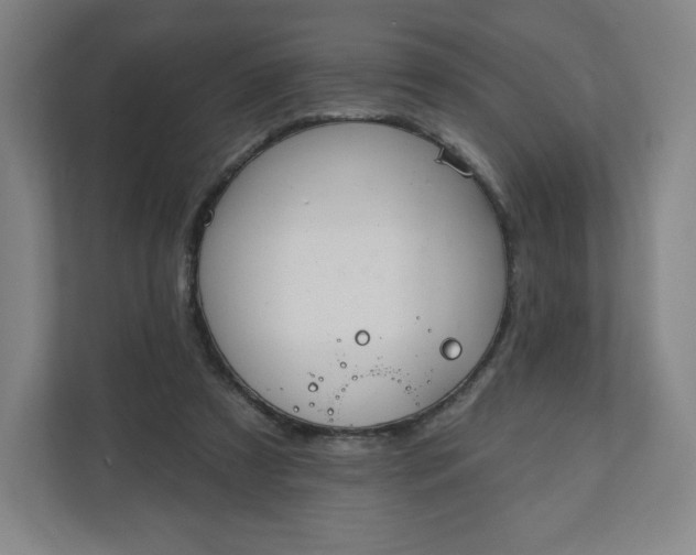 X0000112200305200908211546