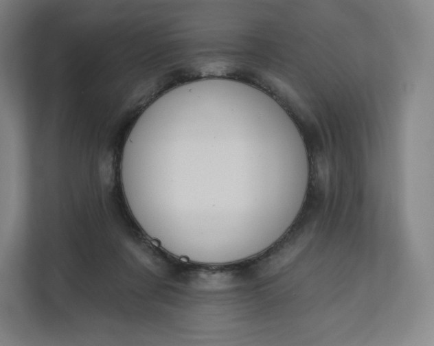 X0000112200311200908211546